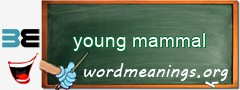 WordMeaning blackboard for young mammal